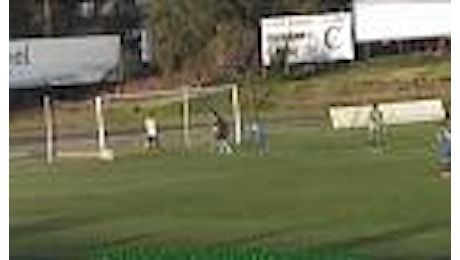 Cile, cane entra in campo e sventa il gol. Protesta del portiere: ''Non è merito suo''
