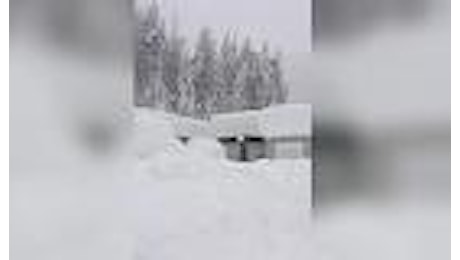 Terremoto, Borgo d'Arquata sommerso dalla neve: E' davvero troppo