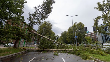 Allerta vento a Milano: Non sostate sotto gli alberi o nei viali