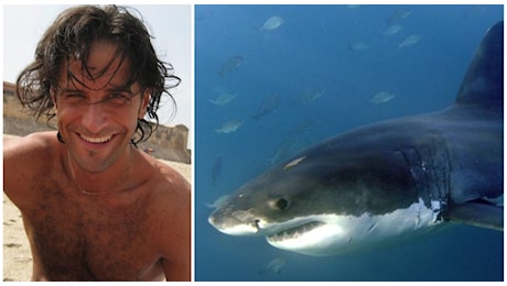 Gianluca Di Gioia, turista sbranato da uno squalo tigre lungo 2 metri e mezzo. Come è morto: il bagno «proibito» e la lotta con il predatore