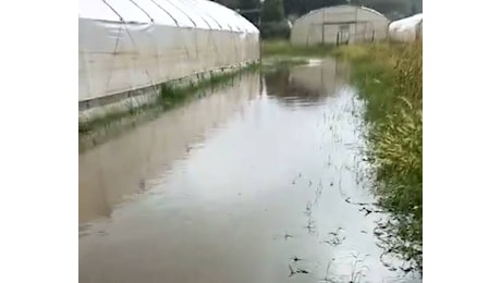 Allagamenti e smottamenti, e la pioggia non cessa: atteso in serata il transito della piena alla foce del Magra