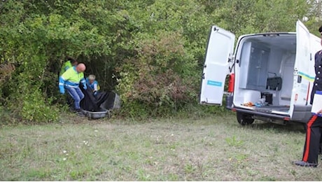 🔴 Cadavere trovato decapitato nel bosco: cosa sappiamo finora