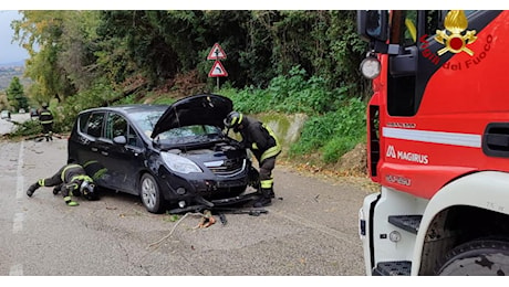 Il vento piega un albero, auto in corsa colpita da grosso ramo: choc per la giovane conducente