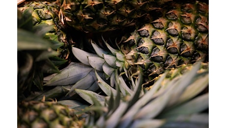 In Spagna sono impazziti per la storia dell’ananas nel carrello della spesa