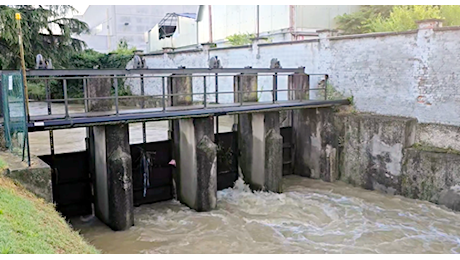 Castelfranco, dopo l'acqua arrivano rabbia e indignazione: “Sindaco dimettiti”