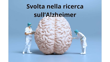 Alzheimer, importante scoperta sulla malattia: questa cellula cambia tutto