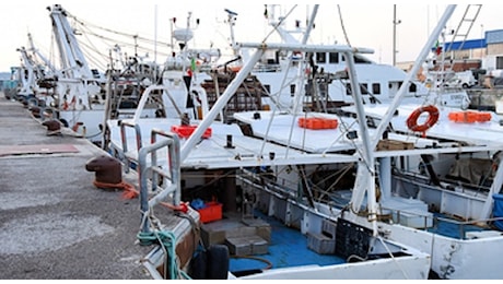 Pesce a San Benedetto, cena della Vigilia a prezzi choc: attese impennate per colpa del meteo