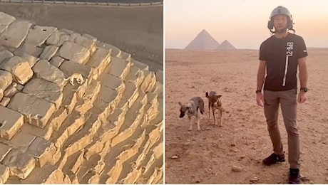 Cosa ci fa un cane in cima alla Grande Piramide di Giza?