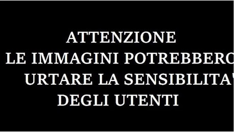 Genova, operaio del porto morto schiacciato tra due ralle - Il video dell'impatto