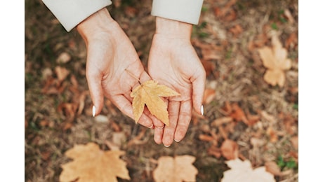 Gestione dello Stress in Autunno: Tecniche di Rilassamento Efficaci