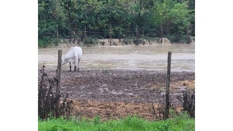 Maltempo, Coldiretti Umbria: Campi allagati, esondazioni e smottamenti