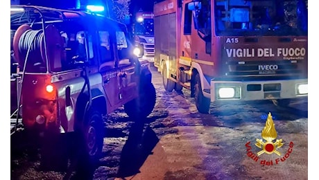 Maltempo a Palermo, alberi caduti sulle auto e voragini: i danni