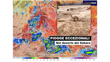 Das ist der Anfang vom Ende - Pagina 20 1d799eb1-9980-43de-820e-f8796d9e7ac7