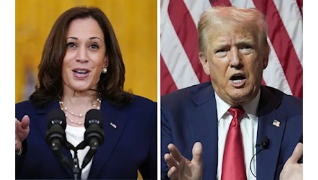 Usa 2024. Per il baby ippopotamo vince Trump. Harris: ogni voto conta