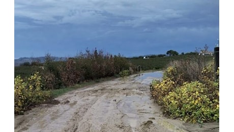 Sicilia travolta dalla pioggia. Allagamenti e disagi alla viabilità, a Caltanissetta isolato il Borgo Santa Rita: l’intervento delle ruspe libera la strada