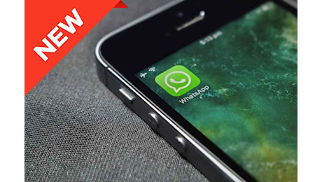 WhatsApp, vedrai queste nuove icone in chat e nei gruppi: a cosa serviranno