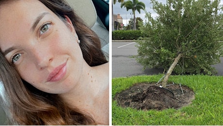 Uragano Milton, il racconto di Luna, vidorese in Florida: Perfino il letto tremava. Tanti alberi caduti attorno a me