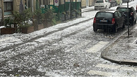 Grandinata nel cuore di Torino, alberi abbattuti e strade imbiancate da chicchi grandi come palline da tennis