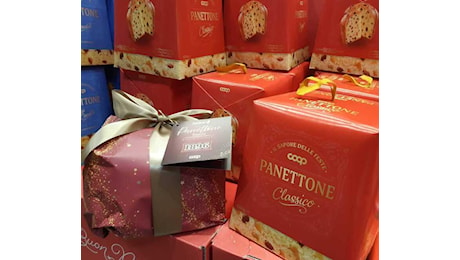 Il panettone migliore nei supermercati? «È quello della Coop»