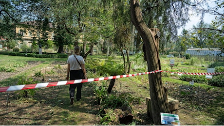 Grandine sull'orto botanico al Valentino, le immagini della devastazione