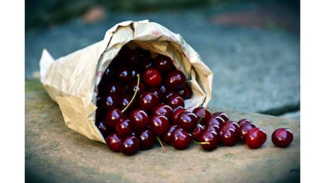 Scopri il segreto delle ciliegie: quante puoi mangiare ogni giorno anche con la glicemia alta? Sorprendente!