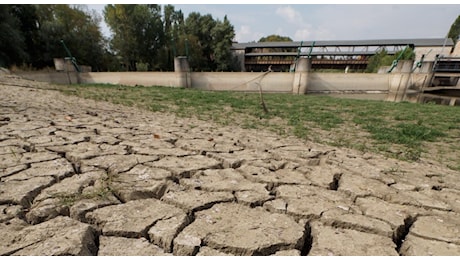 Emergenza siccità al Centrosud, acqua razionata e stop alle irrigazioni in Sicilia Coldiretti: «Presto scaffali vuoti». Agricoltori chiedono lo stato di calamità