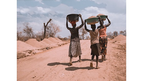 Gli effetti delle guerra in Ucraina e in Medioriente sulla sicurezza alimentare in Africa