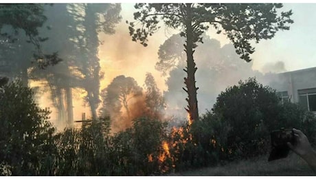 Mario Rutiglio, dipendente Arif muore nel Brindisino: travolto da un albero durante la bonifica di un incendio ​tra Ceglie Messapica e Ostuni