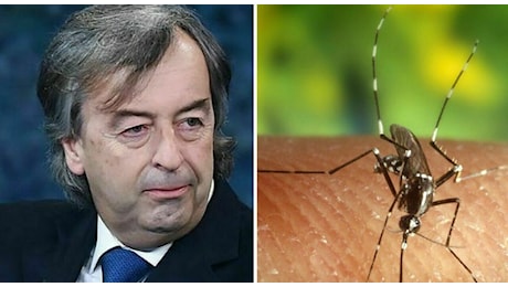 Malaria in Veneto, Burioni: «Se confermato è un guaio che neanche vi immaginate»