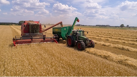 Al G7 Agricoltura di Siracusa non si parla di agroecologia. L’esperto del WWF: «Solo una vetrina autoreferenziale»