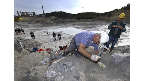 Sondrio, trovato un ecosistema del Paleozoico