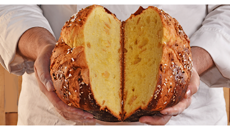 Panettone artigianale: costa quanto un mutuo, ma vuoi mettere l’aroma?