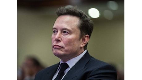 Musk starà piangendo, chiudete i centri sociali e Trump: quindi, oggi...