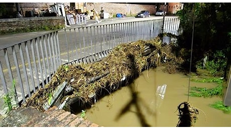 Alluvione a Castelfranco: “Siamo sfiniti!” | Oggi Treviso | News | Il quotidiano con le notizie di Treviso e Provincia