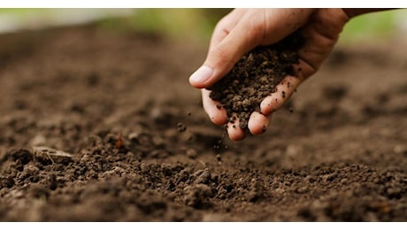 Ripensare l'agricoltura nella chiave della sostenibilità