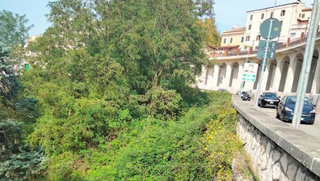 Frosinone – Papetti (Lista Marzi): “Da città green ad abbandonata, così eccelle l’amministrazione”