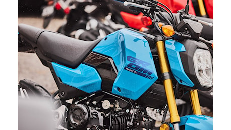 Moto - News, Honda MSX 125 Grom 2025: rinnovata la simpaticissima moto