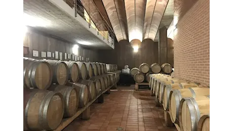 Le migliori cantine in Toscana secondo Go Wine