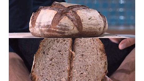 Scopri il segreto della nonna per mangiare pane e dimagrire: il trucco che cambia tutto!