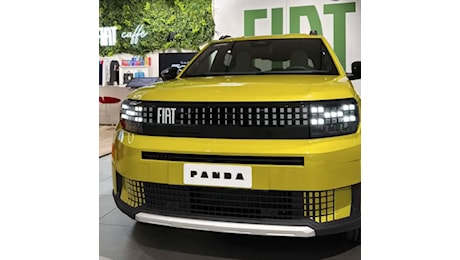 Fiat Grande Panda: venderà più di Citroen C3?