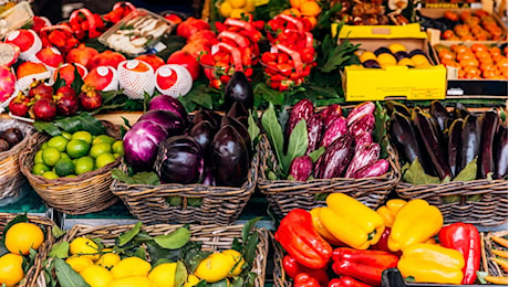 Giornata mondiale dell’alimentazione, dalle intolleranze alla povertà, dai disturbi alimentari all’obesità: ecco i problemi degli italiani