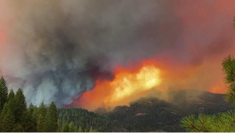La California brucia, in fiamme 967.20 chilometri quadrati di bosco: sembra l'Apocalisse