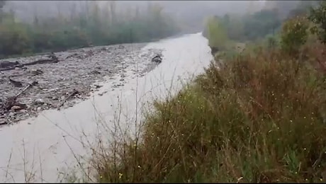 Maltempo nel Modenese, erosa la sponda arginale del Torrente Rossenna a Prignano