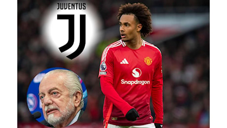 Zirkzee alla Juve: l’assist decisivo arriva dal Napoli