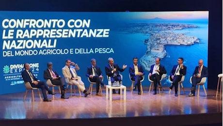 G7 Agricoltura, Mascarino (Federalimentare): Sfide globali per accesso a cibo sicuro e di qualità