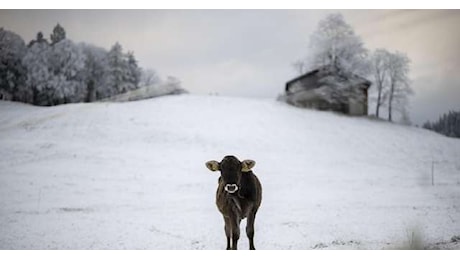 Tre giorni con vento, mareggiate, freddo e anche neve