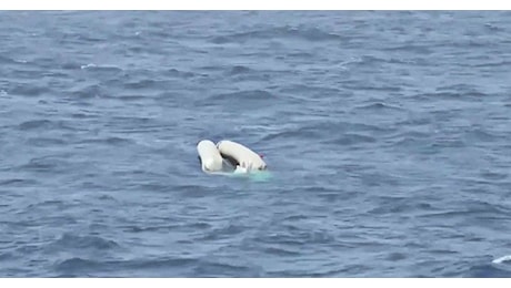 Sedicenne uccisa sulla barca a vela naufragata nel mar Jonio, fermato un 27enne: “L’ha soffocata”