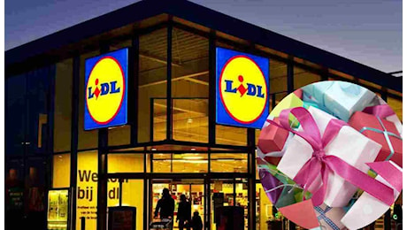 LIDL, ti da una mano con i regali di Natale | Tante idee per bambini ed adulti a prezzi davvero assurdi: scaffali presi d'assalto