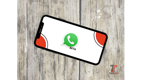 WhatsApp per iOS ora informa quando gli upload sono stati sospesi (Beta)