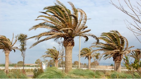 Allerta meteo Cagliari, oggi chiusi parchi e cimiteri